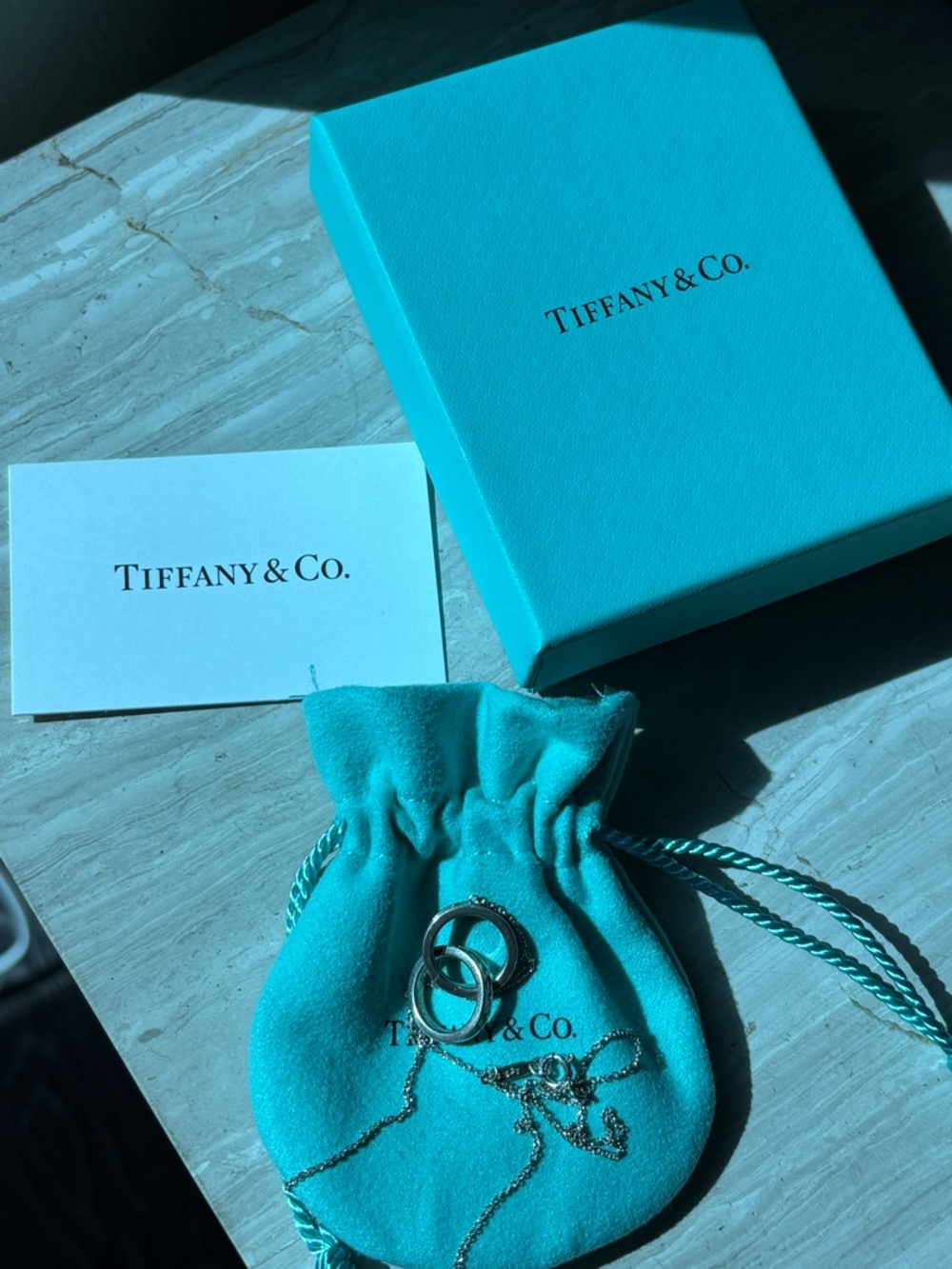 Tiffany & Co. 1837 Interlocking Circles Pendant 16” in Silver with Pouch and Box
